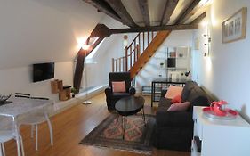 Loft De 53 M2 Centre Ville Blois,Tv